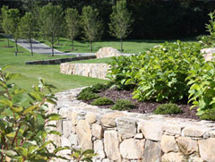 Perennial gardens and flower beds